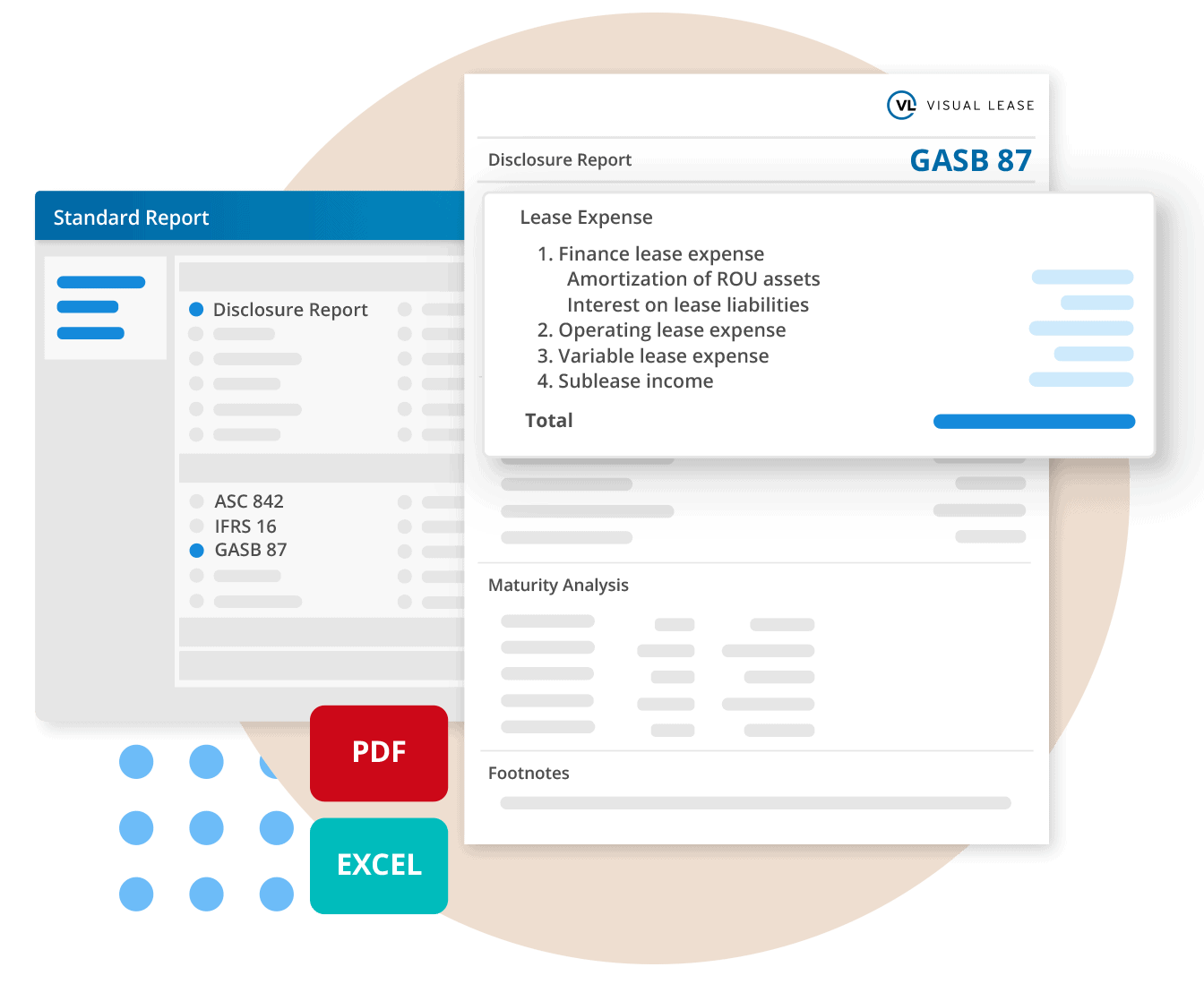GASB 87 Disclosure Report